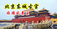 小骚穴插入大鸡巴狂草视频中国北京-东城古宫旅游风景区